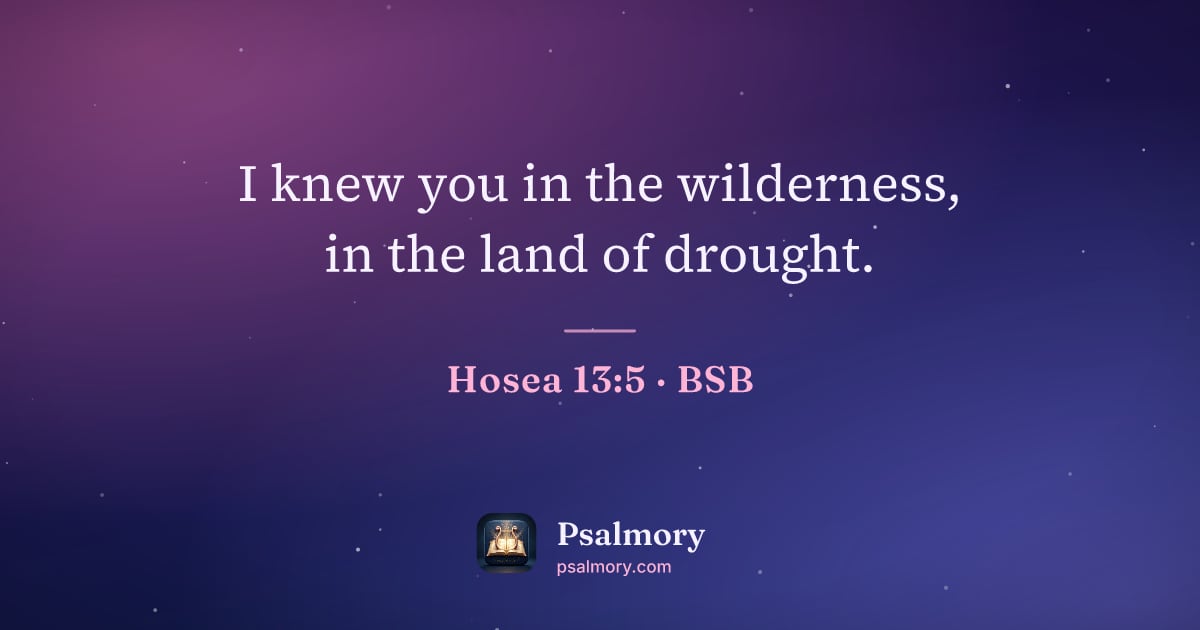 Hosea 13:5 verse artwork: I knew you in the wilderness, in the land of drought.