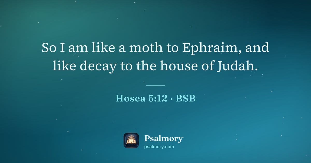 Hosea 5:12 verse artwork: So I am like a moth to Ephraim, and like decay to the house of Judah.