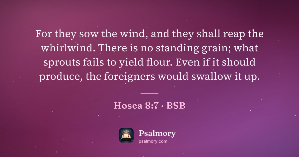 Hosea 8:7 verse artwork: For they sow the wind, and they shall reap the whirlwind. There is no standing grain;…