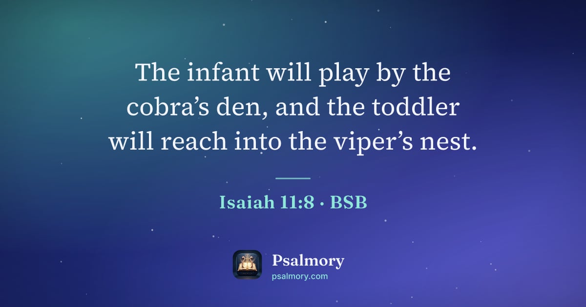 Isaiah 11:8 verse artwork: The infant will play by the cobra’s den, and the toddler will reach into the viper’s nest.