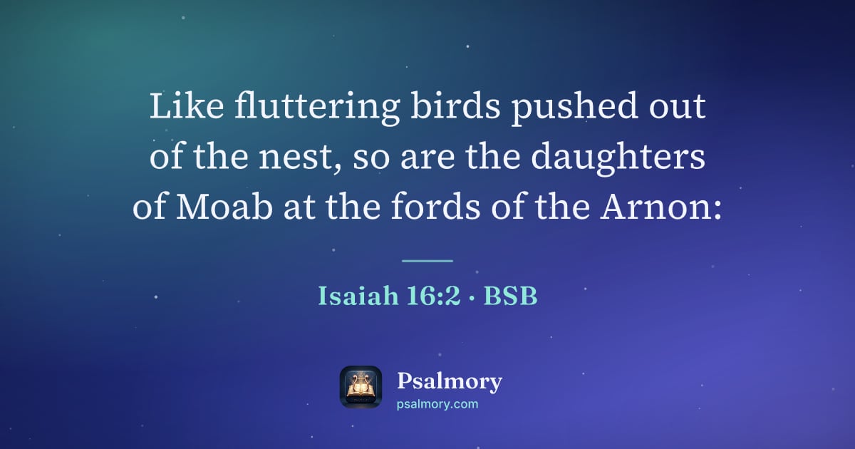 Isaiah 16:2 verse artwork: Like fluttering birds pushed out of the nest, so are the daughters of Moab at the fords…