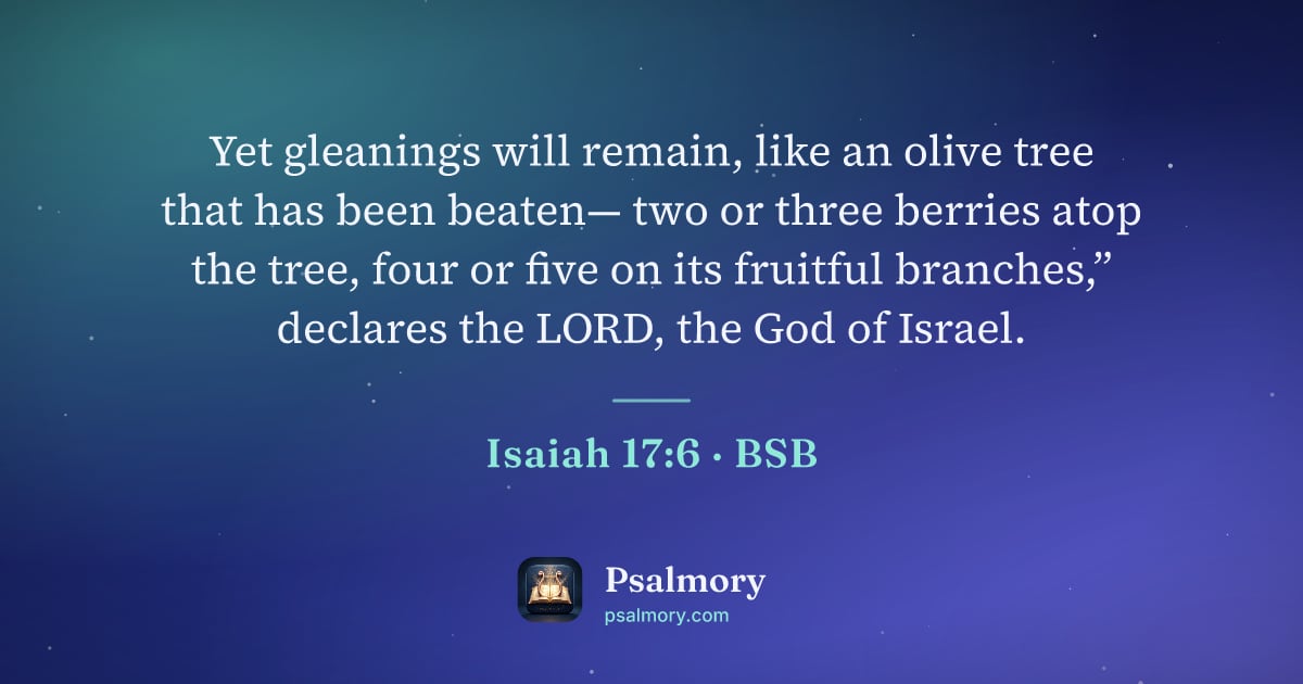 Isaiah 17:6 verse artwork: Yet gleanings will remain, like an olive tree that has been beaten— two or three berries…