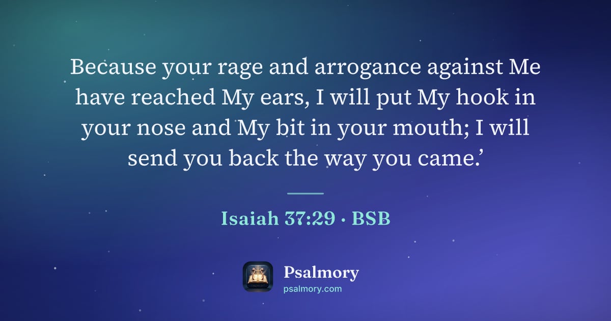 Isaiah 37:29 verse artwork: Because your rage and arrogance against Me have reached My ears, I will put My hook in…