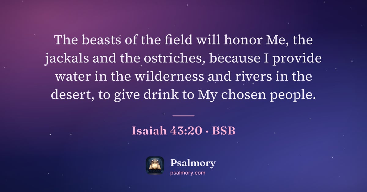 Isaiah 43:20 verse artwork: The beasts of the field will honor Me, the jackals and the ostriches, because I provide…