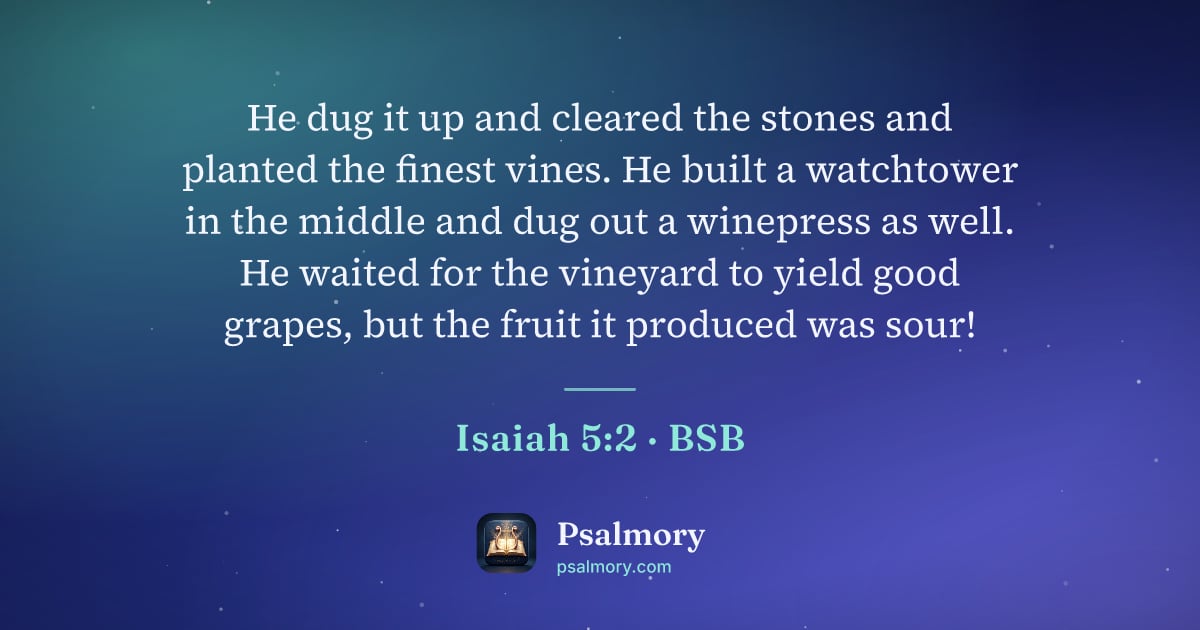 Isaiah 5:2 verse artwork: He dug it up and cleared the stones and planted the finest vines. He built a watchtower…