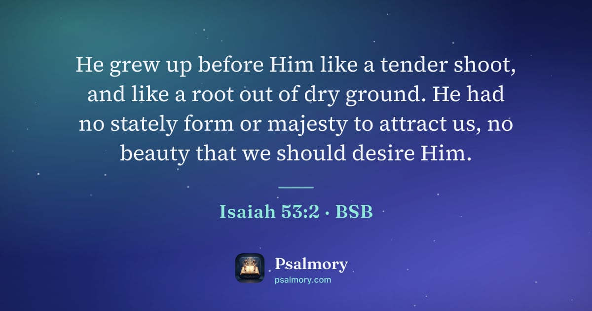 Isaiah 53:2 verse artwork: He grew up before Him like a tender shoot, and like a root out of dry ground. He had no…