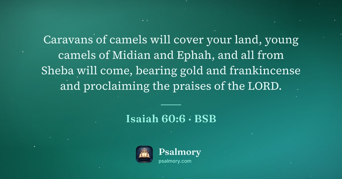 Isaiah 60:6 verse artwork: Caravans of camels will cover your land, young camels of Midian and Ephah, and all from…