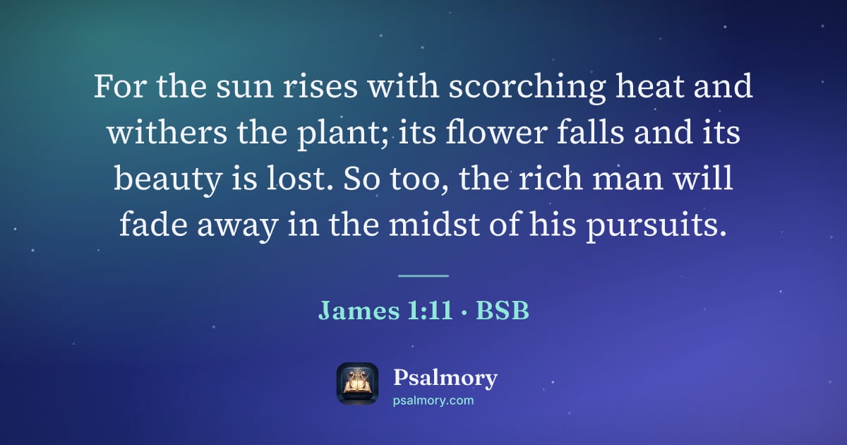 James 1:11 verse artwork: For the sun rises with scorching heat and withers the plant; its flower falls and its…