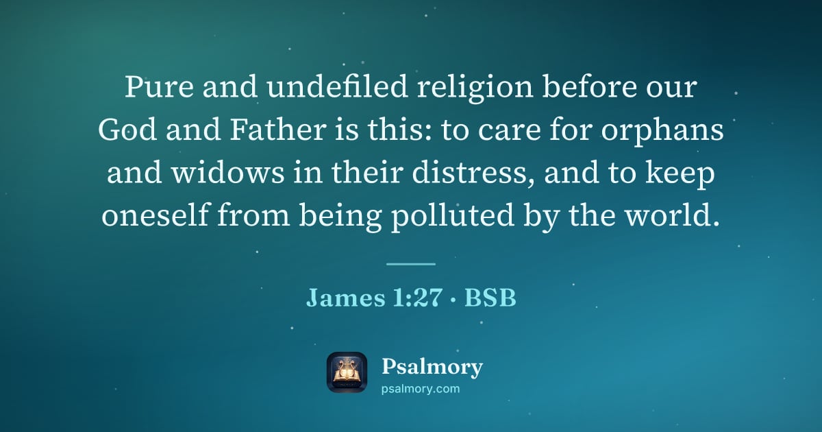 James 1:27 verse artwork: Pure and undefiled religion before our God and Father is this: to care for orphans and…