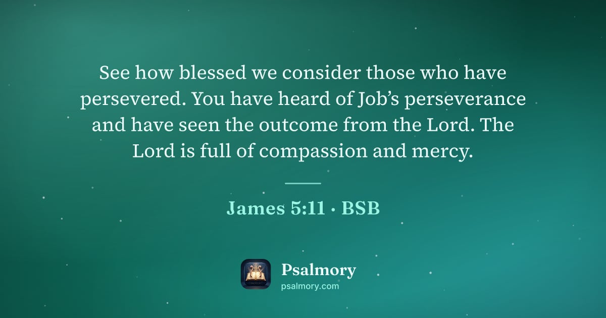 James 5:11 verse artwork: See how blessed we consider those who have persevered. You have heard of Job’s…