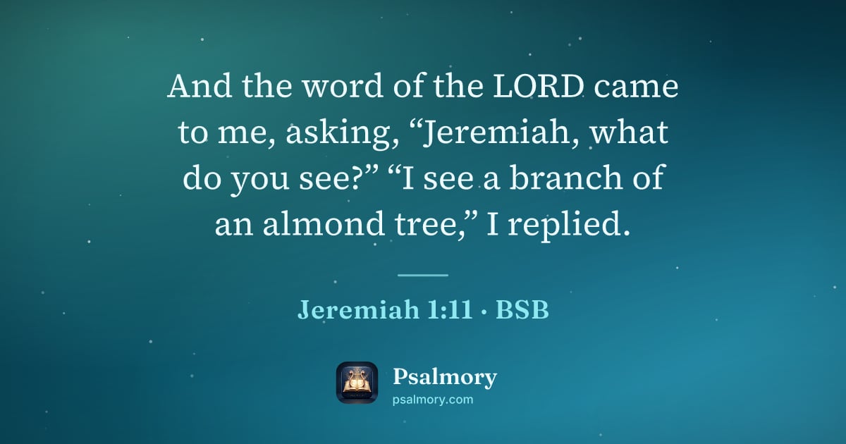 Jeremiah 1:11 verse artwork: And the word of the LORD came to me, asking, “Jeremiah, what do you see?” “I see a…