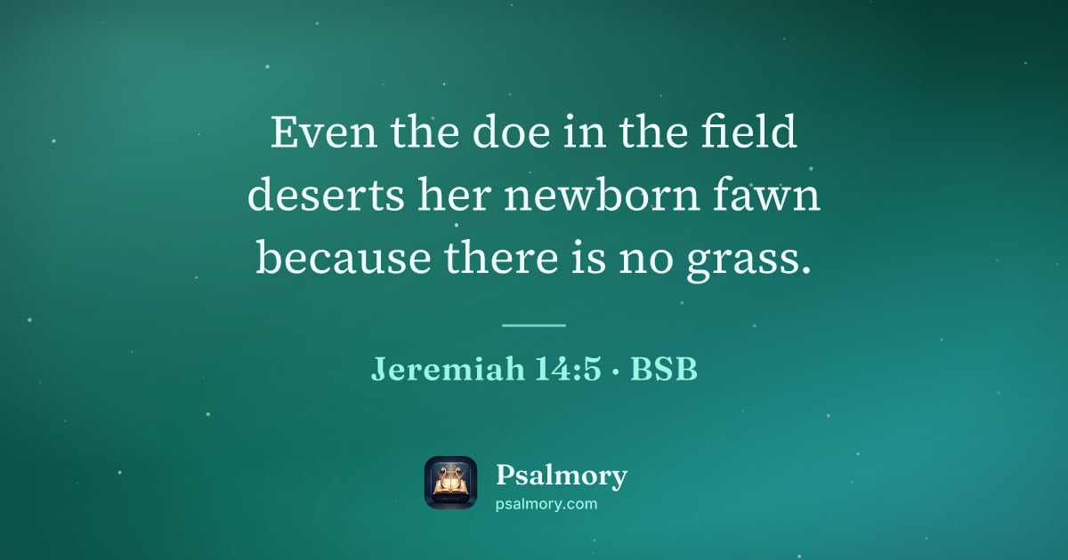Jeremiah 14:5 verse artwork: Even the doe in the field deserts her newborn fawn because there is no grass.