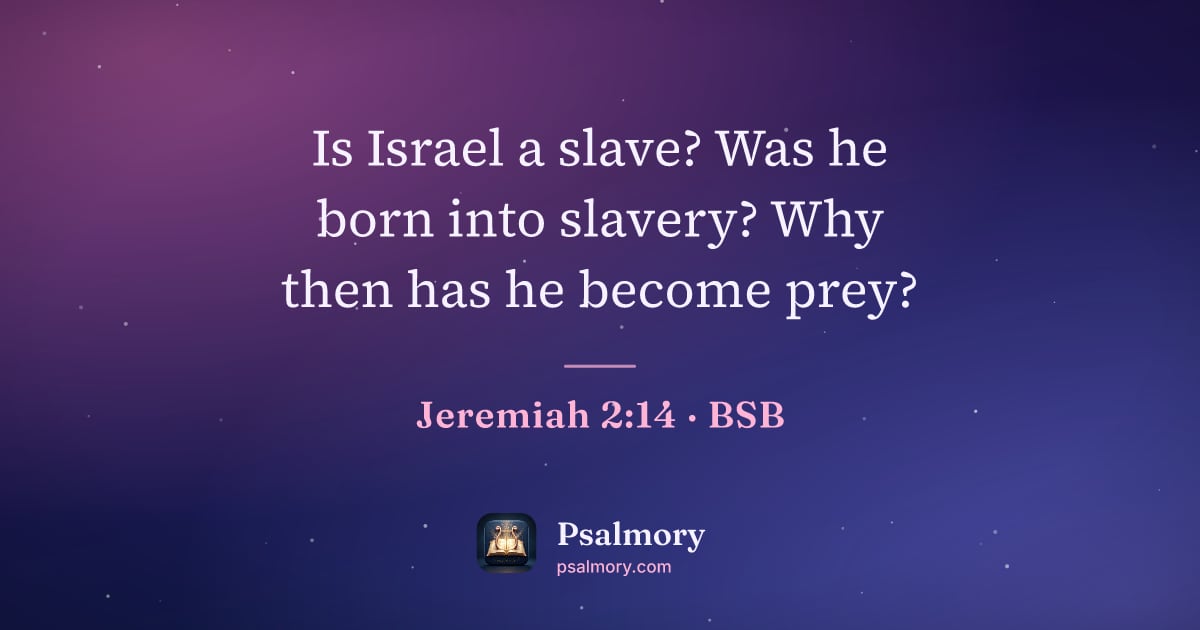 Jeremiah 2:14 verse artwork: Is Israel a slave? Was he born into slavery? Why then has he become prey?