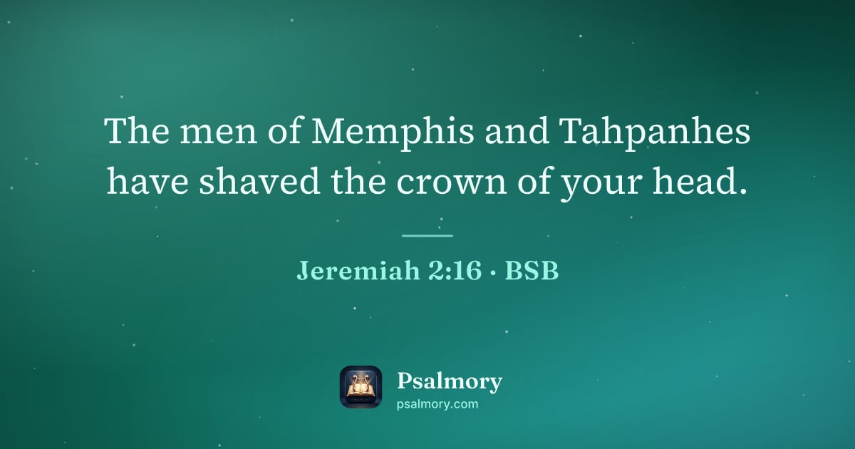 Jeremiah 2:16 verse artwork: The men of Memphis and Tahpanhes have shaved the crown of your head.