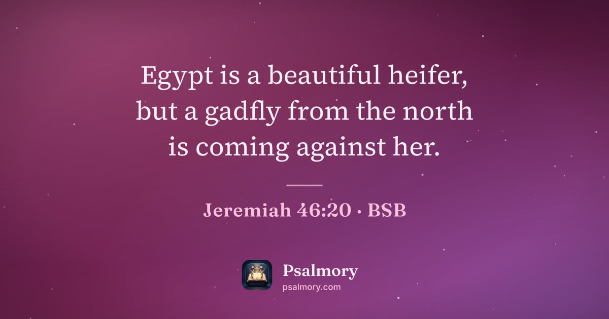 Jeremiah 46:20 verse artwork: Egypt is a beautiful heifer, but a gadfly from the north is coming against her.