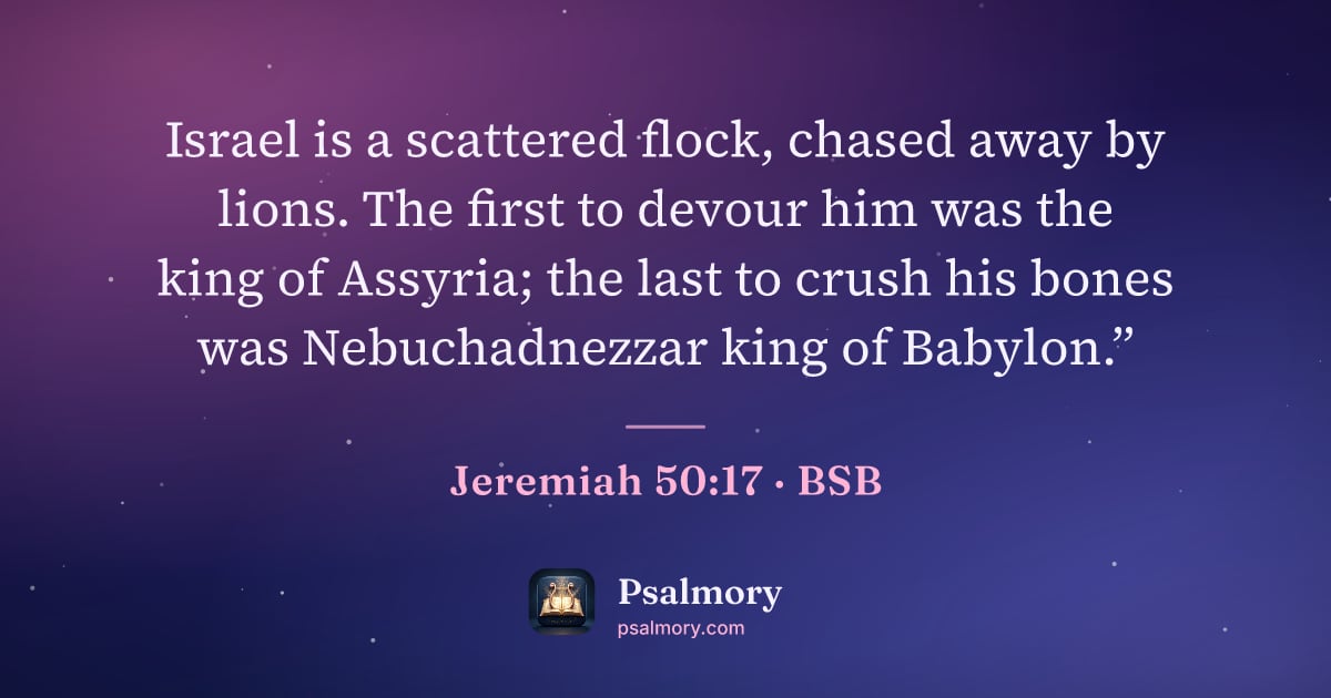 Jeremiah 50:17 verse artwork: Israel is a scattered flock, chased away by lions. The first to devour him was the king…