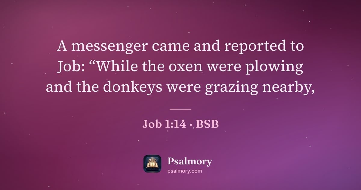 Job 1:14 verse artwork: A messenger came and reported to Job: “While the oxen were plowing and the donkeys were…