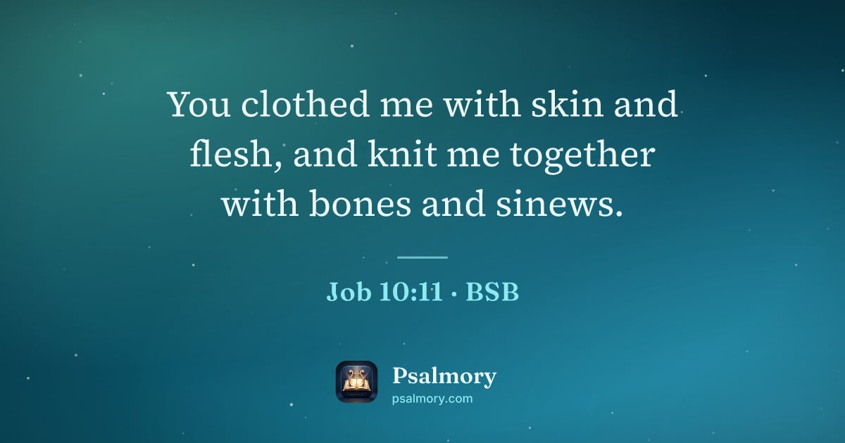 Job 10:11 verse artwork: You clothed me with skin and flesh, and knit me together with bones and sinews.