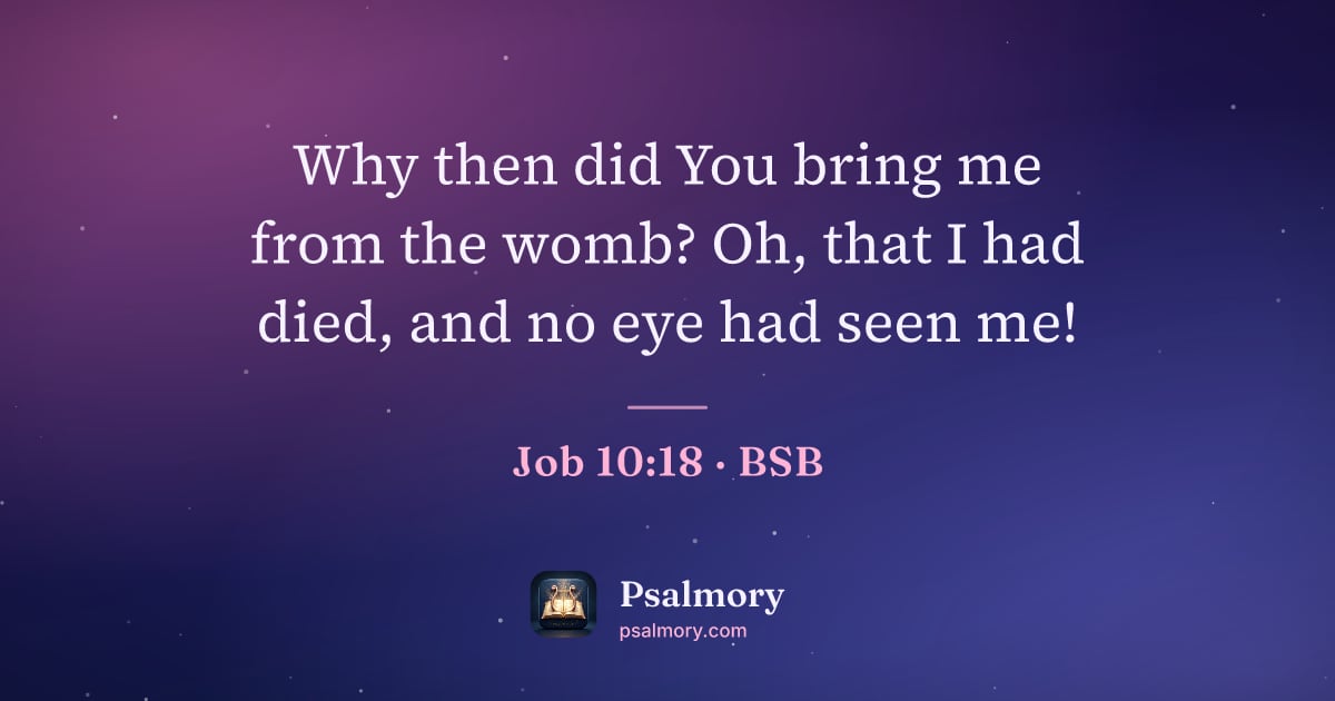 Job 10:18 verse artwork: Why then did You bring me from the womb? Oh, that I had died, and no eye had seen me!