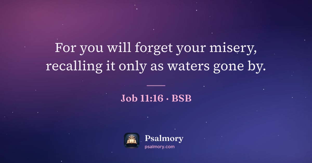 Job 11:16 verse artwork: For you will forget your misery, recalling it only as waters gone by.