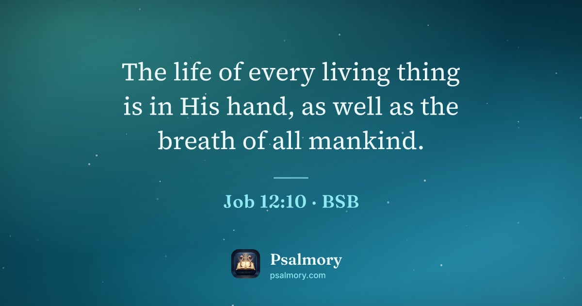 Job 12:10 verse artwork: The life of every living thing is in His hand, as well as the breath of all mankind.