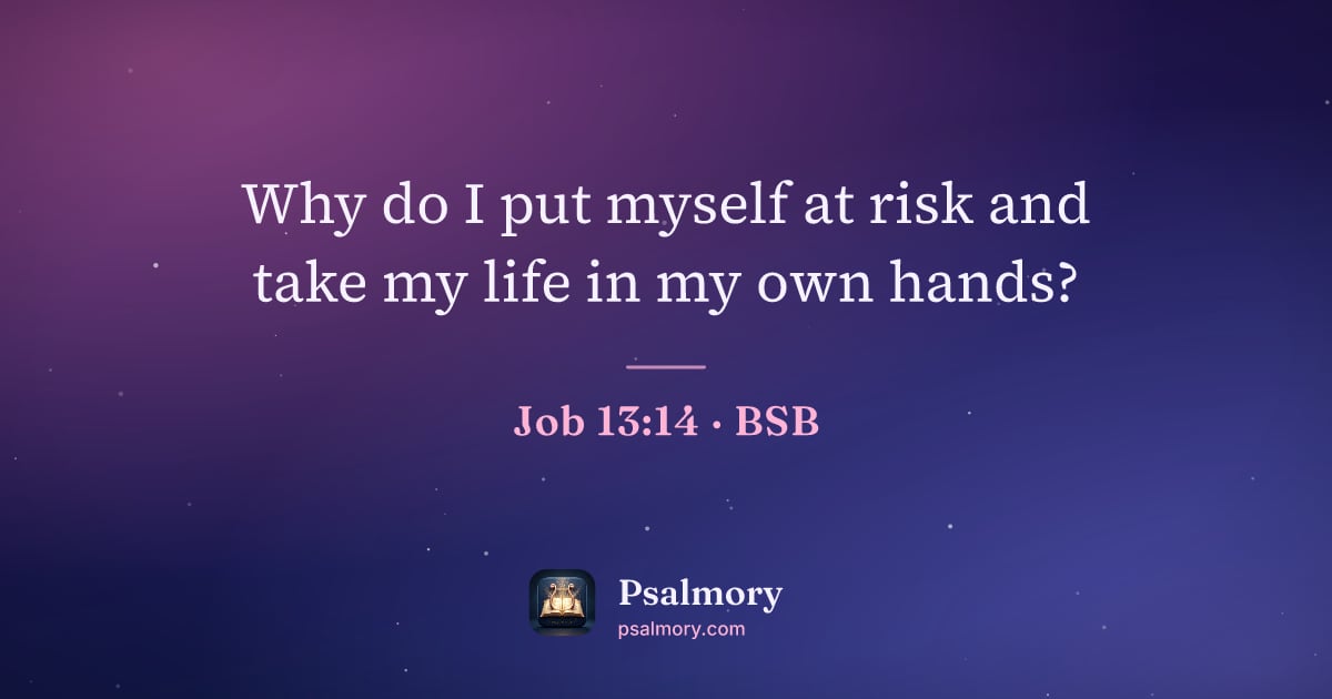 Job 13:14 verse artwork: Why do I put myself at risk and take my life in my own hands?