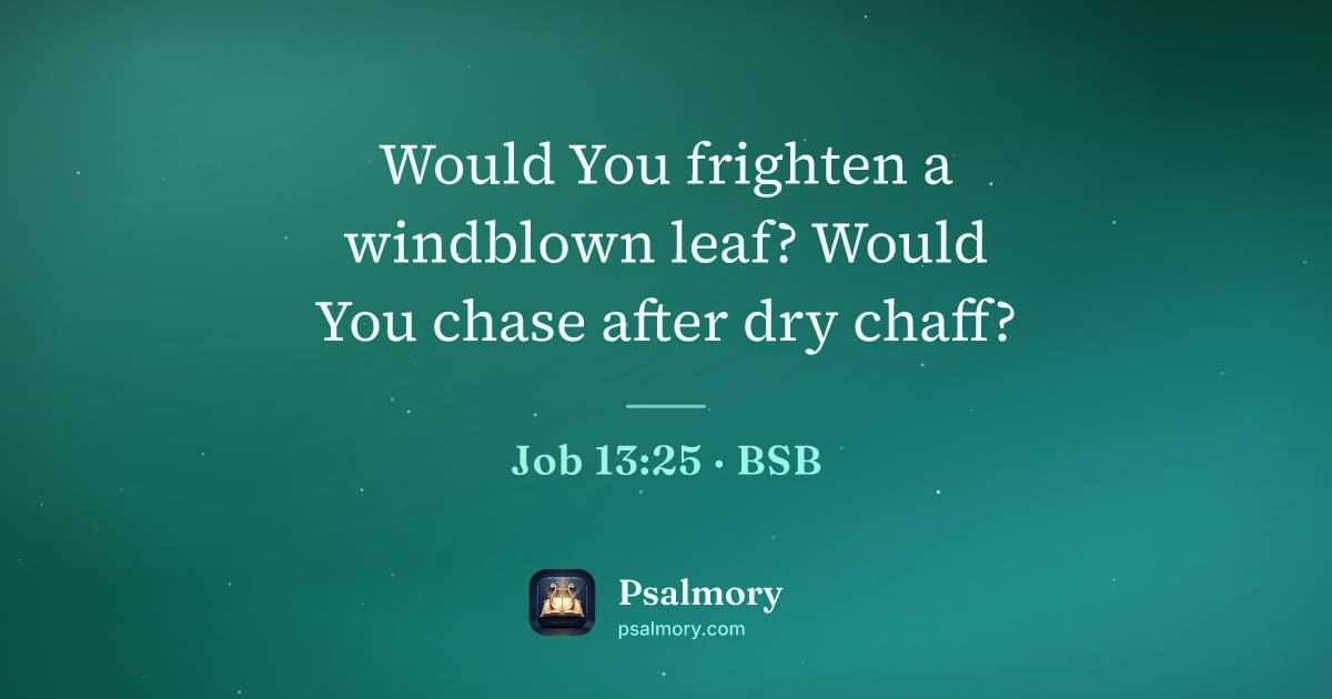 Job 13:25 verse artwork: Would You frighten a windblown leaf? Would You chase after dry chaff?