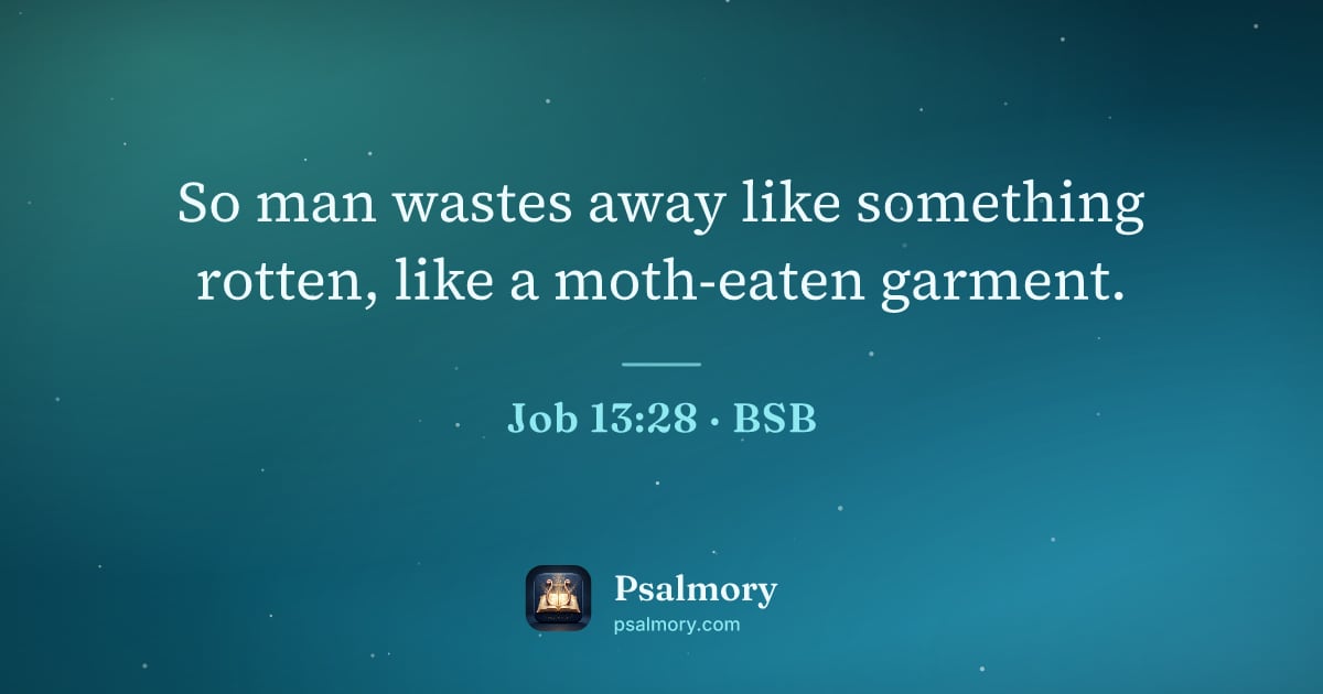 Job 13:28 verse artwork: So man wastes away like something rotten, like a moth-eaten garment.