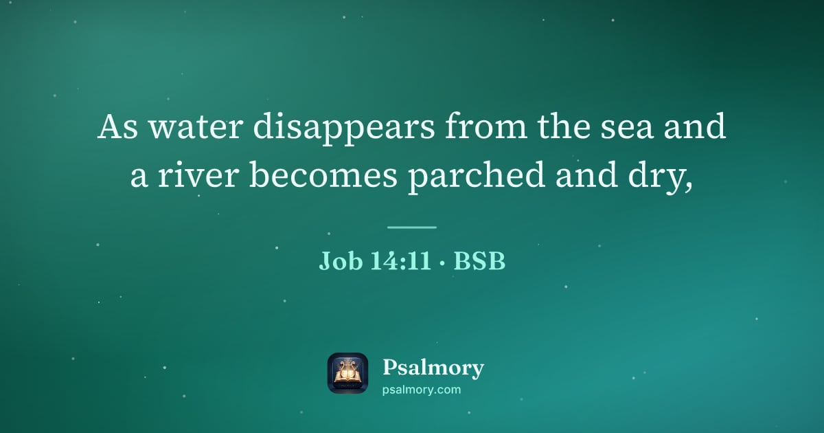 Job 14:11 verse artwork: As water disappears from the sea and a river becomes parched and dry,