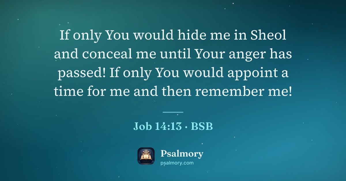 Job 14:13 verse artwork: If only You would hide me in Sheol and conceal me until Your anger has passed! If only…