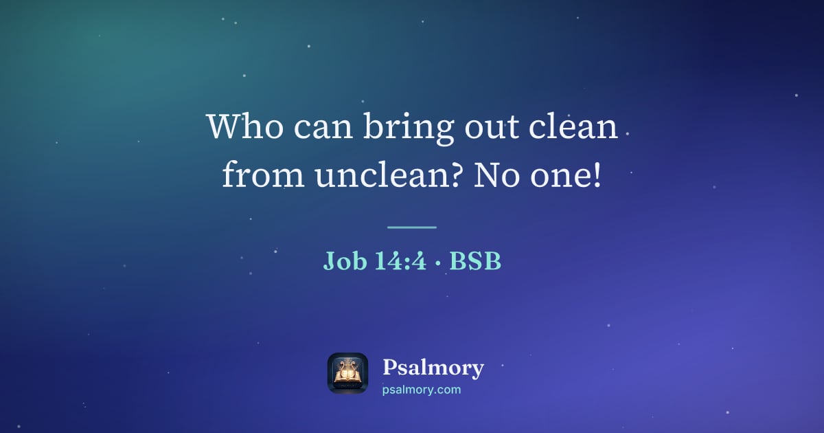 Job 14:4 verse artwork: Who can bring out clean from unclean? No one!