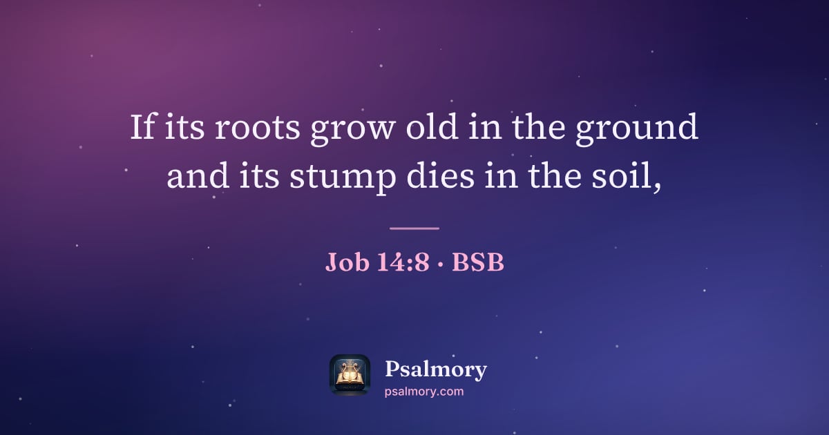 Job 14:8 verse artwork: If its roots grow old in the ground and its stump dies in the soil,