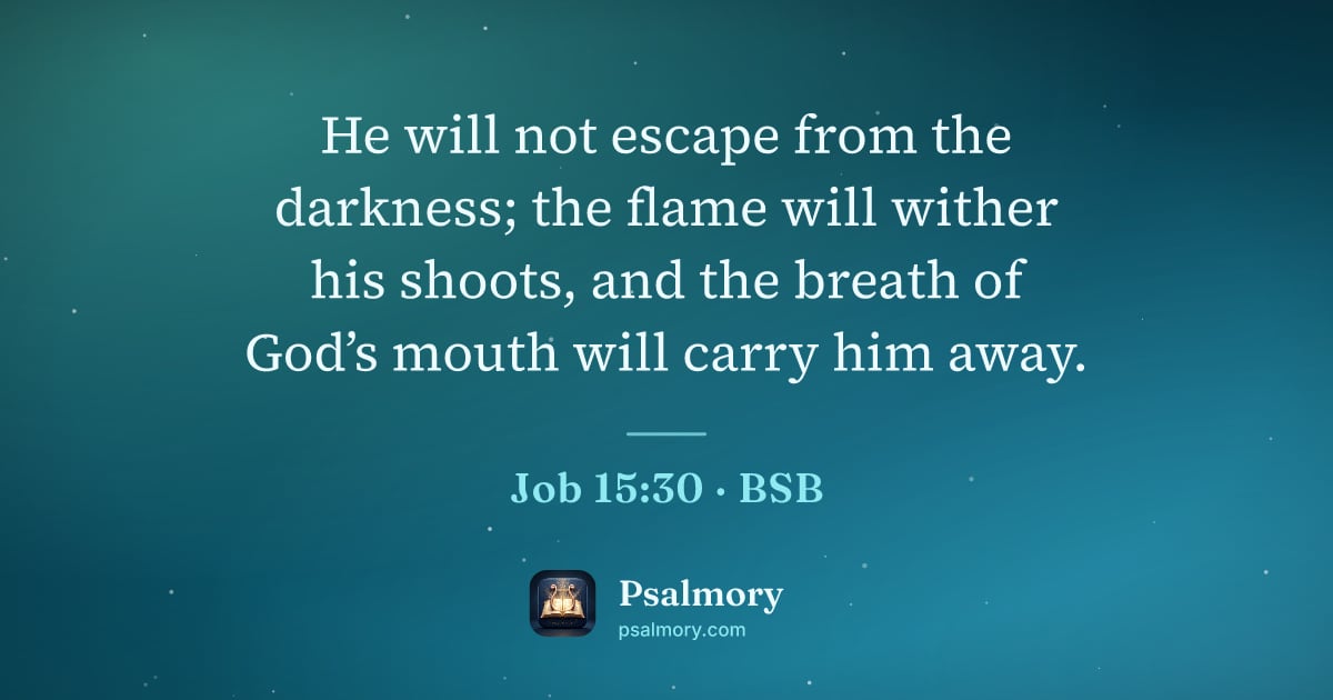 Job 15:30 verse artwork: He will not escape from the darkness; the flame will wither his shoots, and the breath…