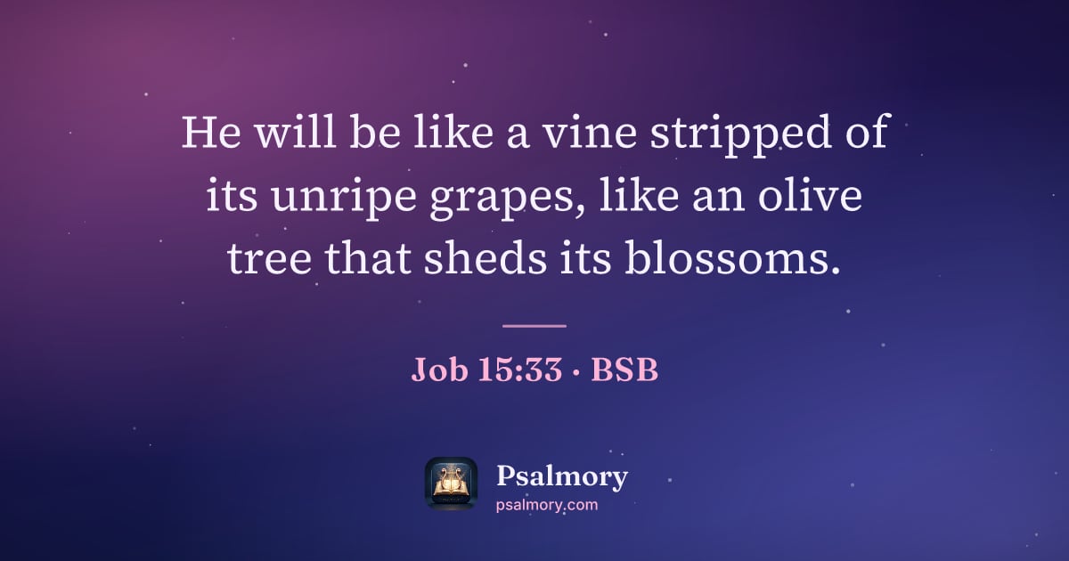 Job 15:33 verse artwork: He will be like a vine stripped of its unripe grapes, like an olive tree that sheds its…
