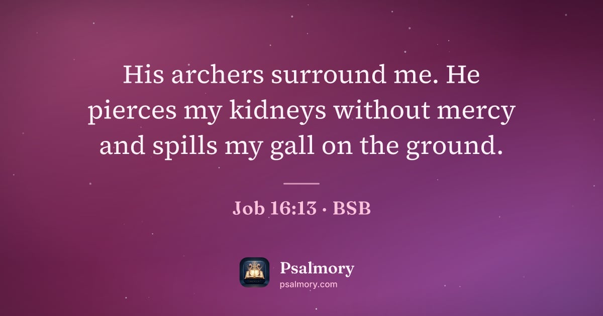 Job 16:13 verse artwork: His archers surround me. He pierces my kidneys without mercy and spills my gall on the…