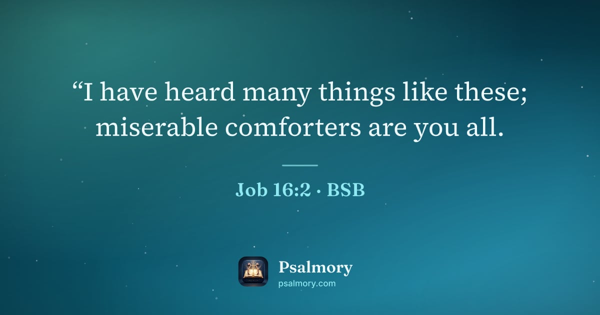 Job 16:2 verse artwork: “I have heard many things like these; miserable comforters are you all.
