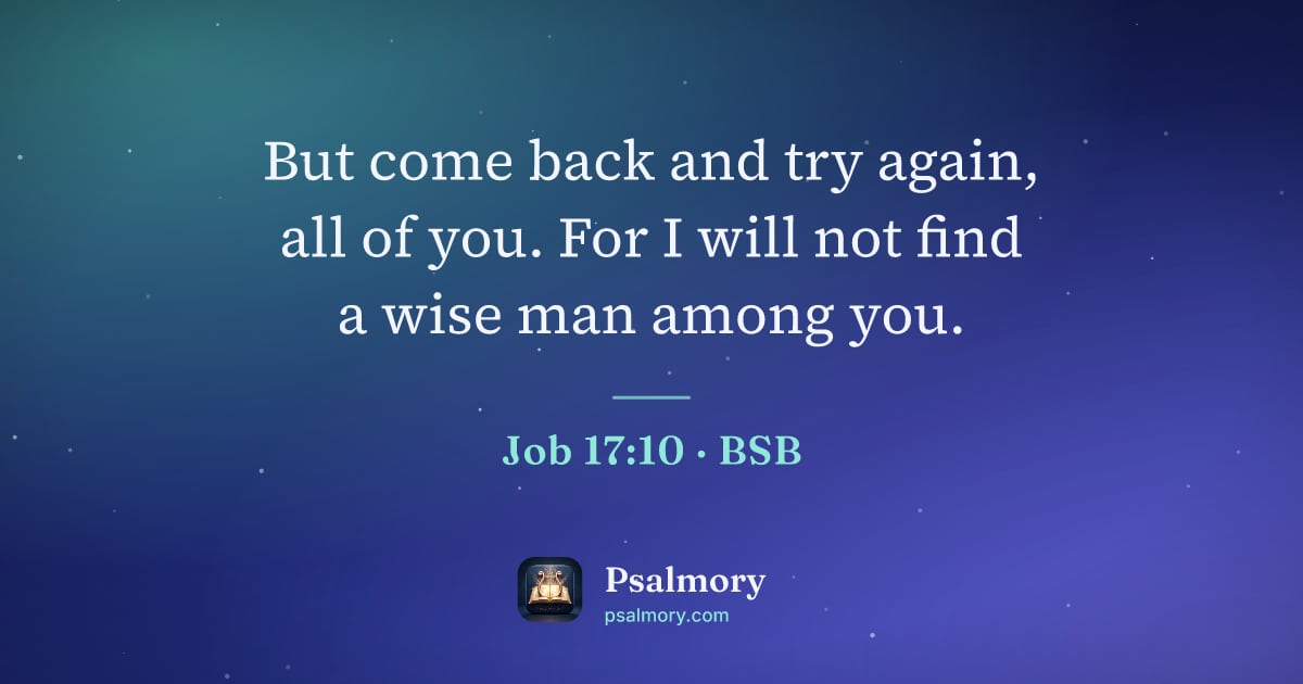 Job 17:10 verse artwork: But come back and try again, all of you. For I will not find a wise man among you.