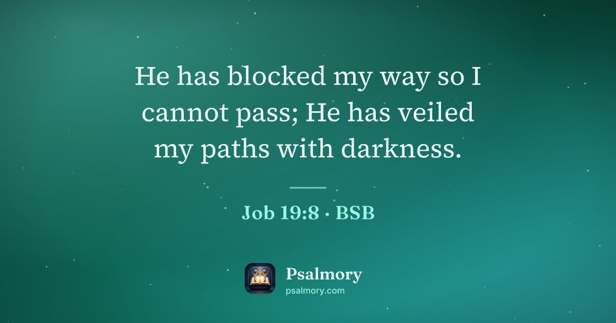 Job 19:8 verse artwork: He has blocked my way so I cannot pass; He has veiled my paths with darkness.