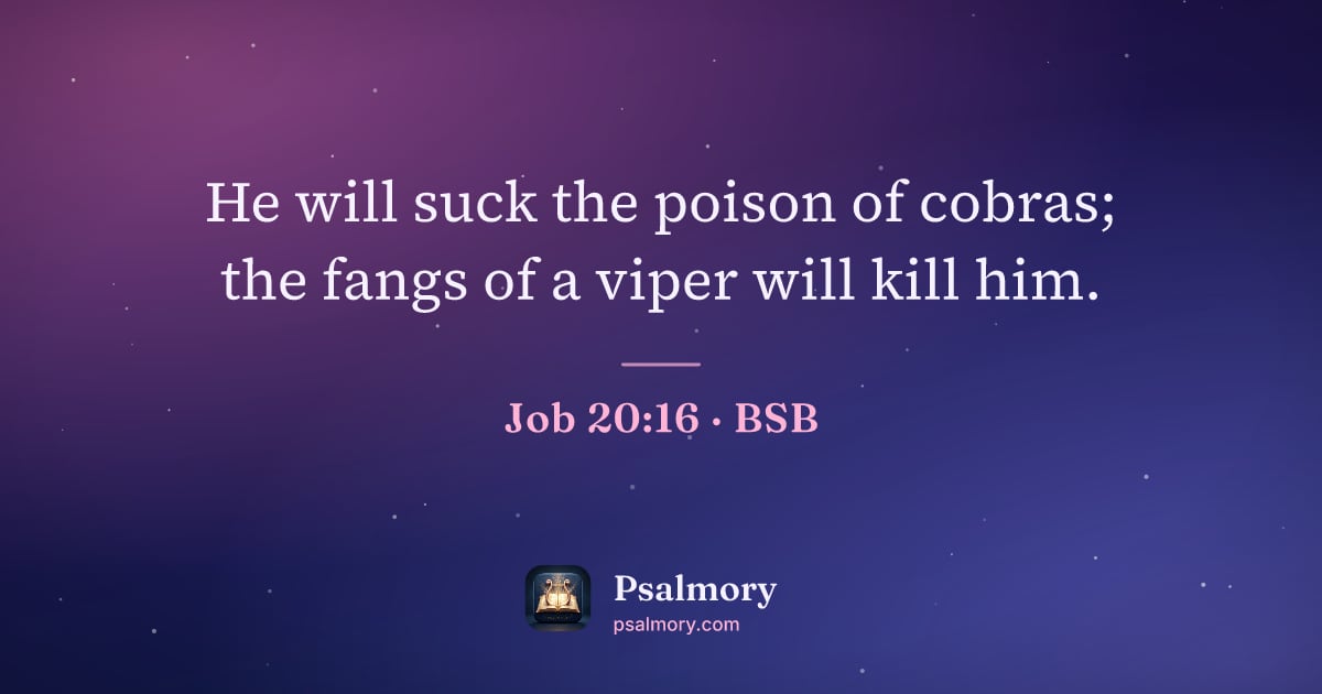 Job 20:16 verse artwork: He will suck the poison of cobras; the fangs of a viper will kill him.