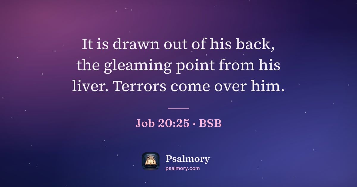 Job 20:25 verse artwork: It is drawn out of his back, the gleaming point from his liver. Terrors come over him.