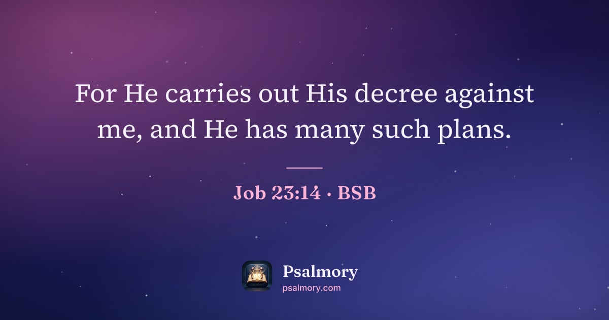 Job 23:14 verse artwork: For He carries out His decree against me, and He has many such plans.
