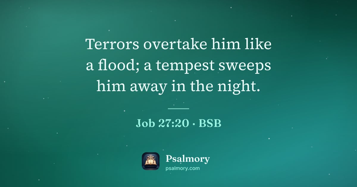 Job 27:20 verse artwork: Terrors overtake him like a flood; a tempest sweeps him away in the night.