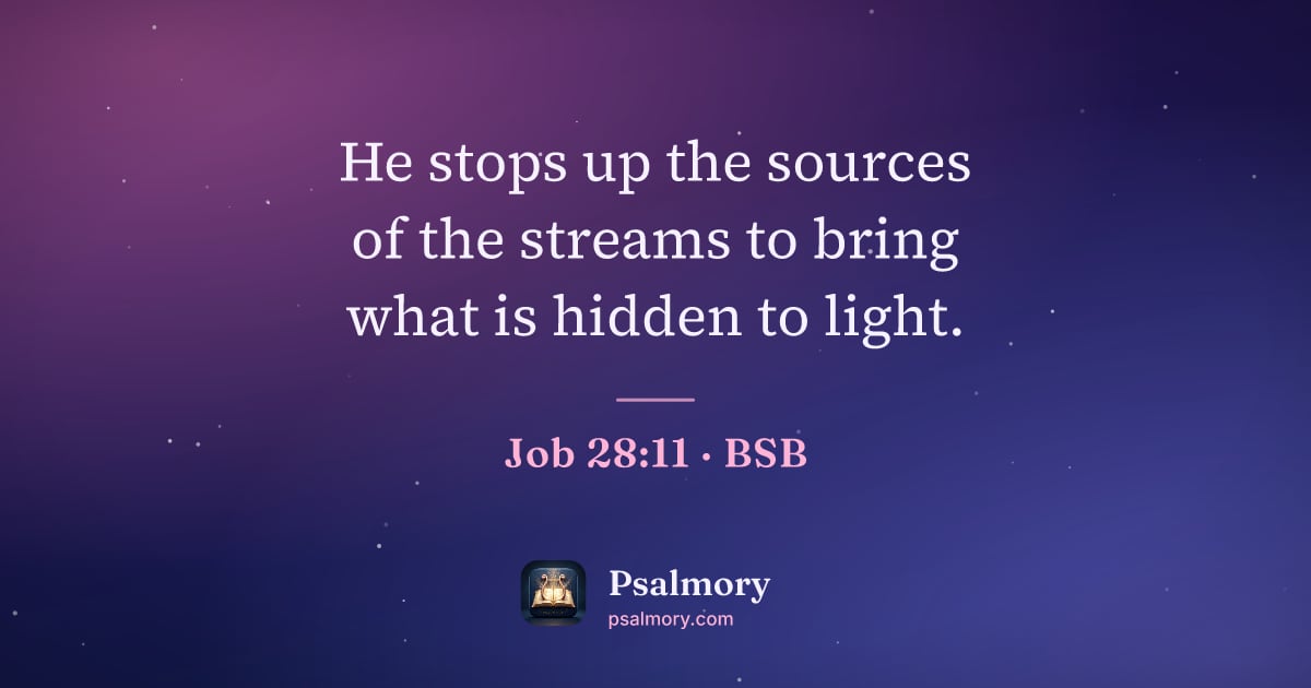 Job 28:11 verse artwork: He stops up the sources of the streams to bring what is hidden to light.