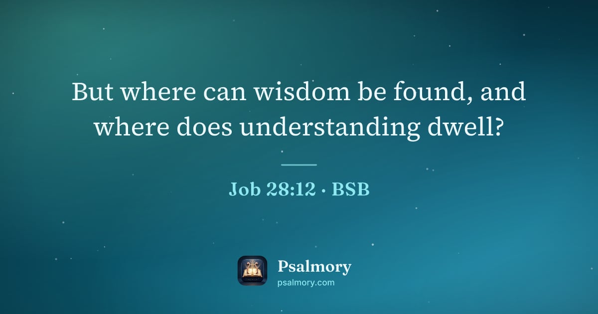 Job 28:12 verse artwork: But where can wisdom be found, and where does understanding dwell?