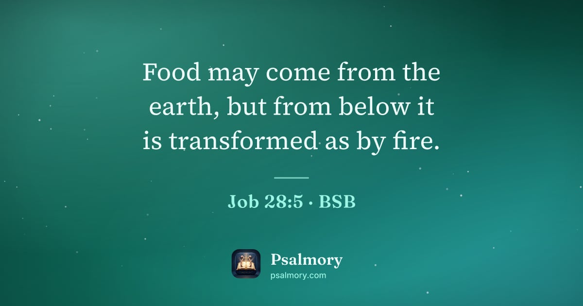 Job 28:5 verse artwork: Food may come from the earth, but from below it is transformed as by fire.