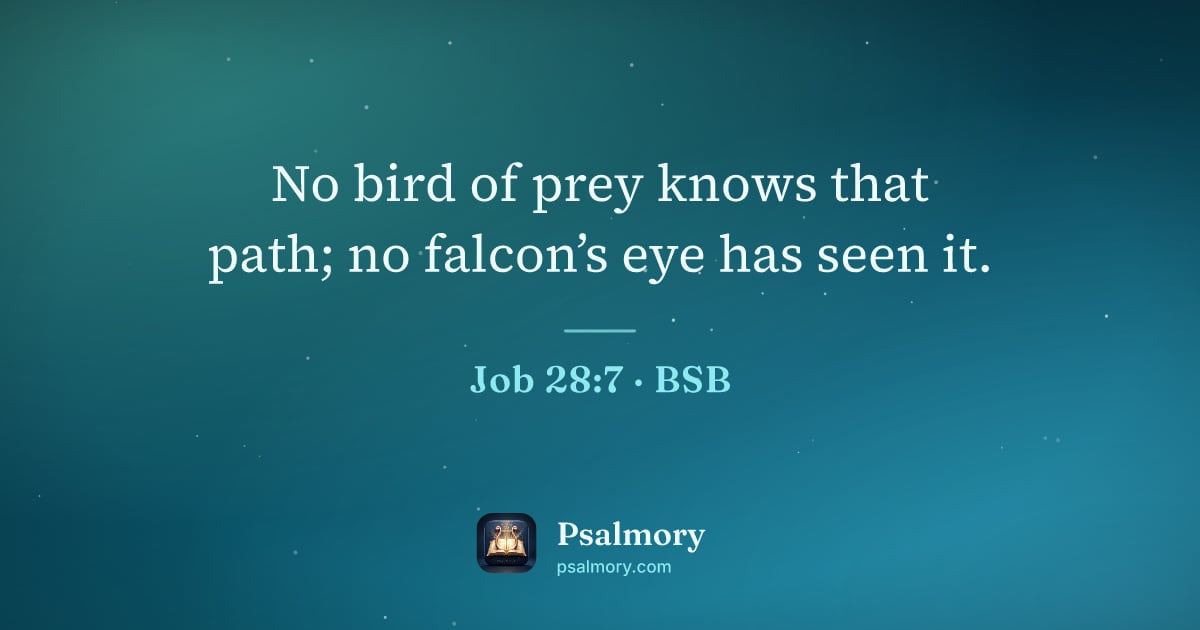 Job 28:7 verse artwork: No bird of prey knows that path; no falcon’s eye has seen it.