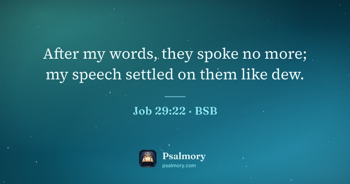 Job 29:22 verse artwork: After my words, they spoke no more; my speech settled on them like dew.