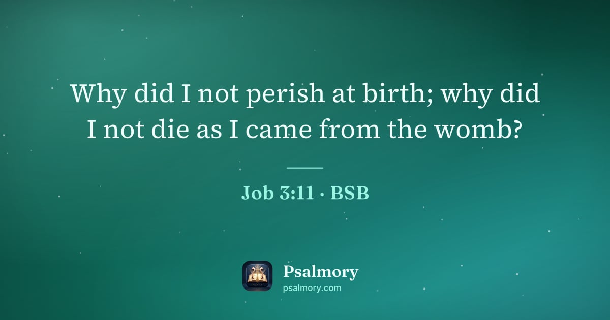 Job 3:11 verse artwork: Why did I not perish at birth; why did I not die as I came from the womb?