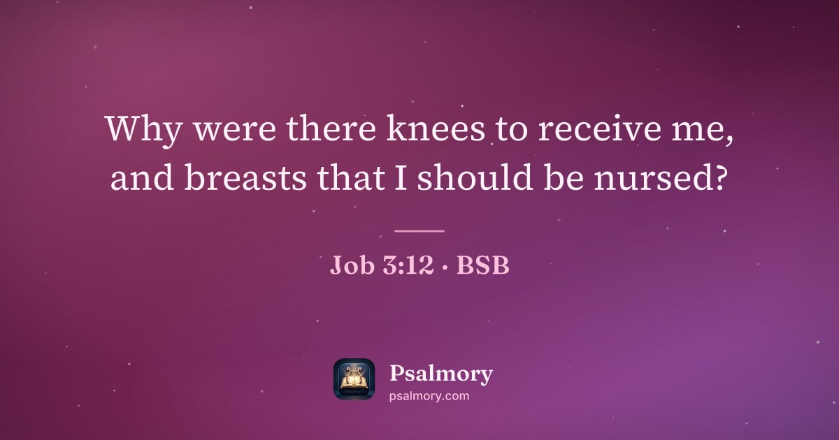 Job 3:12 verse artwork: Why were there knees to receive me, and breasts that I should be nursed?