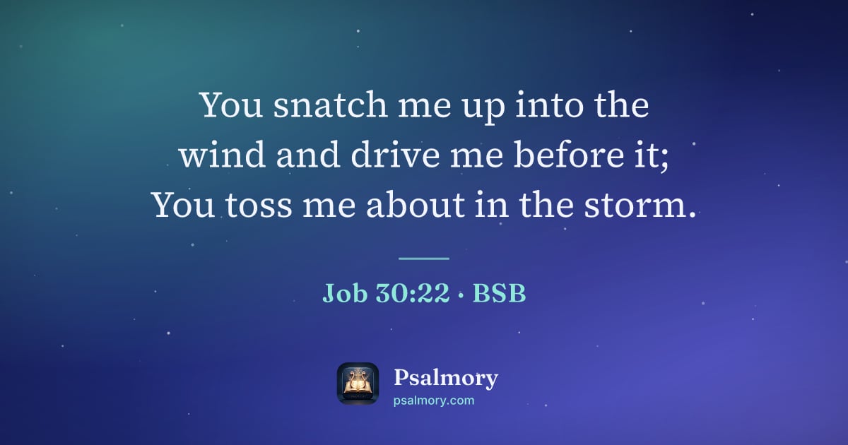 Job 30:22 verse artwork: You snatch me up into the wind and drive me before it; You toss me about in the storm.